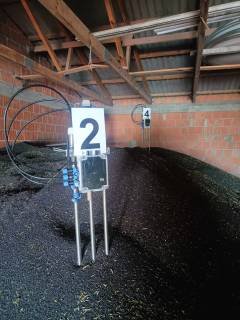 7gp